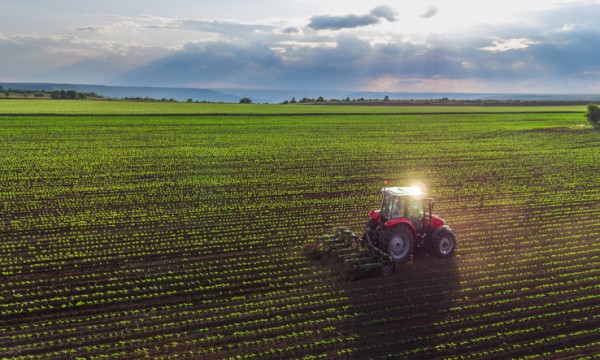 Buone pratiche in edilizia e agricoltura inerenti alla promozione della qualità, dell'appropriatezza e della sorveglianza sanitaria preventiva e periodica